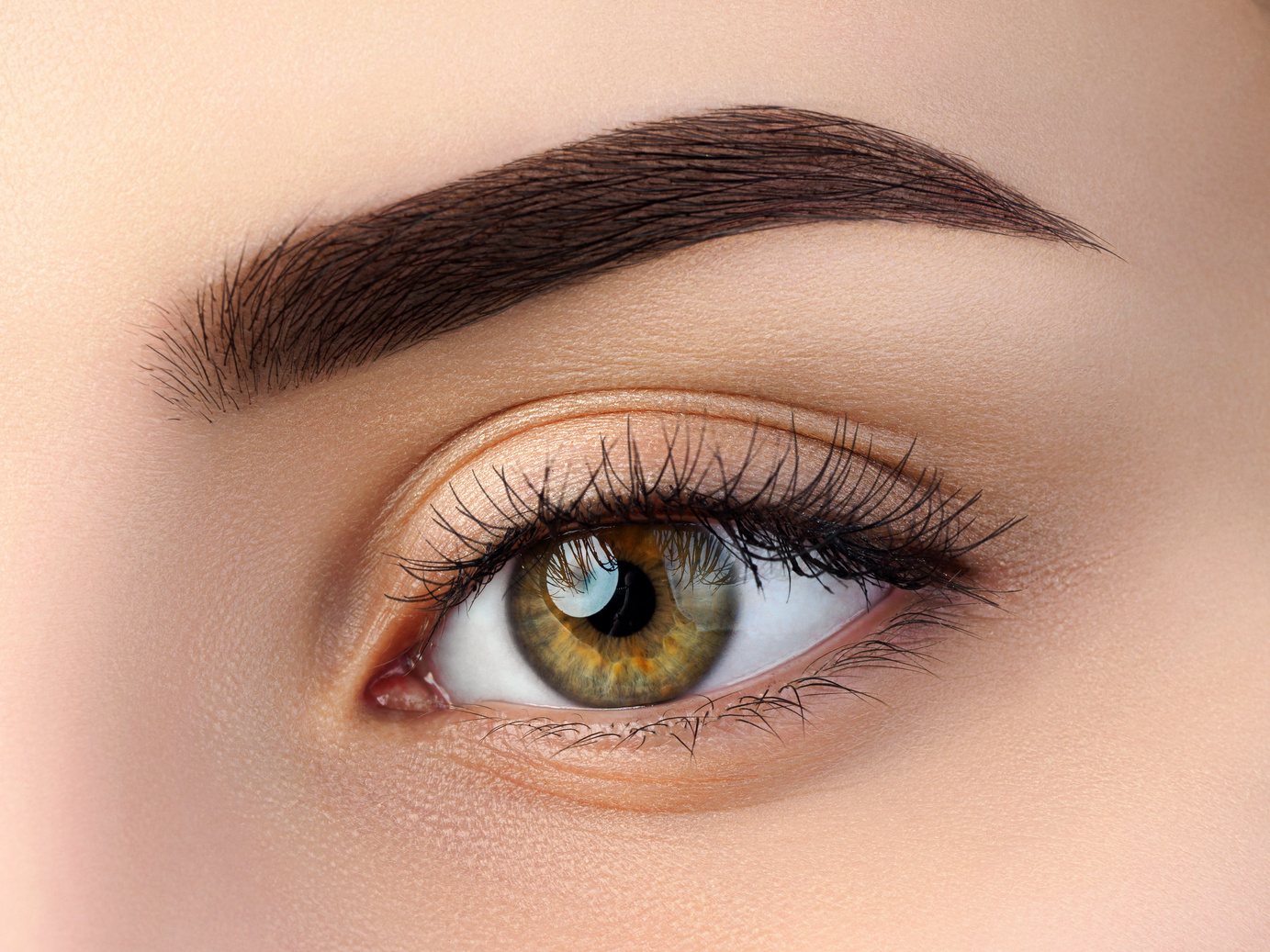 Close up view of beautiful brown female eye